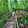 Ormanya, Kocaeli - Explore Europe’s Largest Wildlife Park & Unique Hobbit Houses